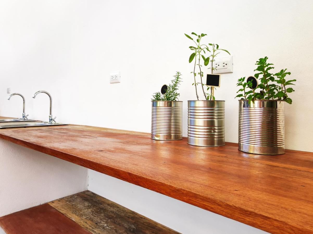 Ico Living Hostel Playa Santa Teresa  外观 照片